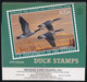 USA Calendar Ducks. Migratory Birds And Hunting Conservation Stamp 2019 - Andere & Zonder Classificatie