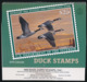 USA Calendar Ducks. Migratory Birds And Hunting Conservation Stamp 2019 - Altri & Non Classificati