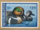 USA Calendar Ducks. Migratory Birds And Hunting Conservation Stamp 2019 - Andere & Zonder Classificatie