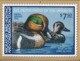 USA Calendar Ducks. Migratory Birds And Hunting Conservation Stamp 2019 - Altri & Non Classificati