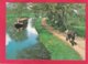 Modern Post Card Of Transport,Narrow Boats,Canal Barge,Boat Horse Captain,Grand Western Canal,X38. - Houseboats