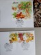 2019 Malaysia Sour Fruit Food Flower Flora Plant Tree Combo FDC Stamp Set & MS Miniture - Malaysia (1964-...)