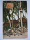 Malay Malaya Malaisie Coconuts Plantation By Malaya Natives Used 1935 Stamp Tiger 4c  Yv 58 - Malaysia