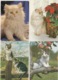 19 / 11 / 165  -  LOT  DE  200. C P M  DE. CHATS  DIVERS. À  15€  PLUS  8 €  DE. PORT - 100 - 499 Cartes