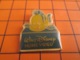 1519 Pin's Pins : BEAU ET RARE : Thème CINEMA / DESSIN ANIME NEMO WALT DISNEY HOME VIDEO - Filmmanie