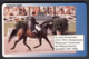 Germany 1992 / Olympic Games Tokyo 1964 / Josef Neckermann,Gold Medal / Equestrian Dressage / Phonecard - Olympic Games