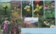 UKRAINE / 19 Phonecards, Phone Cards Ukrtelecom / Flora. Plants. Flowers 2000s - Blumen