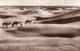 TRIPOLI-ORIENTAZIONE NEL DESERTO-1952-REAL PHOTO - Libia