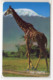 TANZANIE Ref MV Cards : TAN-TT-01a GIRAFE 150 UNITS - Tanzanie