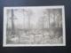 1. WK Feldpost AK 1917 Echtfoto Soldatenfriedhof Im Wald Mit Jesus Am Kreuz Roter Stempel Geprüft Waldshut - Cimetières Militaires