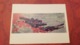 Mongolia. Propaganda. "Red Dust"   - Old Postcard 1970s - Mongolia