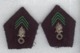 Insignes De Col Armée Française - Légion étrangère - Equipment