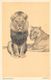 Lion And Lioness Animals, From "The Zoo" Sketch Book By A.W. Peters - Altri & Non Classificati