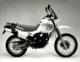 Moto Morini 501 Camel  24*17 +- Cm Moto MOTOCROSS MOTORCYCLE Douglas J Jackson Archive Of Motorcycles - Coches