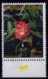 Madagascar 2003 Fleurs Tropicales / Xyloolaena / Tropical Flowers N° 1841 Neuf MNH TB - Madagascar (1960-...)