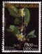 Madagascar 2003 Fleurs Tropicales / Schizolaena / Tropical Flowers / Plantes N° 1846 Oblitéré Used - Madagascar (1960-...)