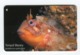 Telecarte °_  Jersey-poisson-Tompof Blenny-£2- R/V 9856 - [ 7] Jersey Und Guernsey