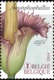 Blok 213** Fantastische Flora 4393/97** Flore Insolité  Bijzondere Planten Uit De Plantentuin (Jardin Botanique) Meise - Unused Stamps