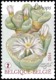 Blok 213** Fantastische Flora 4393/97** Flore Insolité  Bijzondere Planten Uit De Plantentuin (Jardin Botanique) Meise - Unused Stamps