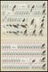 ENGROS 754-57 **, 1973, Vögel, 120 Postfrische Sätze, Fast Nur Pracht, Mi. 960.- - Abarten Und Kuriositäten