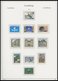 SAMMLUNGEN, LOTS **, Fast Komplette Postfrische Sammlung Luxemburg Von 1960-96 Im KA-BE Falzlosalbum, Prachterhaltung, M - Colecciones