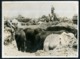 1942 WWII German War Photo / The Horses In Soviet Trench / Weltbild - 1939-45