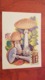 USSR. Amanita . Forest. Mushroom - Maxicard 1986 - Champignons