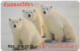 Thailand - Taweechai Jewellery Gold Shop Member Card, Polar Bears - Sonstige & Ohne Zuordnung