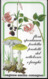 FLORA SPONTANEA PROTETTA PRODOTTI DEL SOTTOBOSCO E FUNGHI - EDIZ. ZANINI 1988 - PAGG.- 280 FORMATO 12,50X 21,50 - Giardinaggio