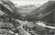 65 GAVARNIE  ( HAUTES- PYRENEES )   ANES...MULETS...BAUDETS ?...C3341 - Gavarnie