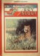 LE TOUR Du MONDE D'un BOY SCOUT-TOME 2-n° 26 Au N°50-ARNOULD GALOPIN-1922 - Andere & Zonder Classificatie