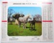 CALENDRIER 1973 ALMANACH DES PTT CHEVAUX CHEVAL POULAIN JEUNES PECHEURS PECHE POISSON CHIEN SHETLAND BORDER COLLIE - Big : 1971-80