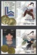 Delcampe - Netherlands 2006 Winter Olympics Ice Skating Limited Edition Set Of Stamps And Cards - Sonstige & Ohne Zuordnung