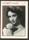 PORTRAIT DE STAR 1950 ÉTATS UNIS USA - ACTRICE ELIZABETH TAYLOR - UNITED STATES USA ACTRESS CINEMA FILM PHOTO - Foto