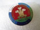 NO PIN'S BADGES  RUGBY  WALES  Grand Slam  Winners  2005  Tournoi 6 Nations Grand Chelem  GALLES  Email Grand Feu - Rugby