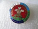 NO PIN'S BADGES  RUGBY  WALES  Grand Slam  Winners  2005  Tournoi 6 Nations Grand Chelem  GALLES  Email Grand Feu - Rugby