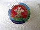 Delcampe - NO PIN'S BADGES  RUGBY  WALES  Grand Slam  Winners  2005  Tournoi 6 Nations Grand Chelem  GALLES  Email Grand Feu - Rugby