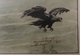 BALATON Halászat, Jelzett Akvarell Keretben, Madarász H.  40*26 Cm   /  Fishing At Lake Balaton In Frame - Litografia