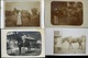 LOVASOK, LOVAK 42 Db Fotós Képeslap, Jó Tétel!  /  HORSES, RIDERS 42 Photo Vintage Pic. P.cards, Good Bundle - Horses