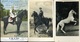 LOVASOK, LOVAK 61 Db Vegyes Képeslap, Jó Tétel!  /  HORSES, RIDERS 61 Various Vintage Pic. P.cards Good Bundle - Horses