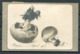 1907 Denmark Mushroom Postcard. Vestindisk Velgjørenhedsfest - Covers & Documents