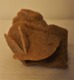 ROSA DEL DESIERTO 16 X 9 X 7 Cms - Minerales