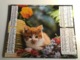 Calendrier - Almanach Du Facteur AIN - 1977 - Chat / Chiens - Groot Formaat: 2001-...