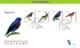 Nfm268ABCfb FAUNA VOGELS VALK DUIF KOLIBRIE HUMMINGBIRD TOUCAN PIGEON FALCON BIRDS AVES OISEAUX SURINAME 2003 FDC'S - Andere & Zonder Classificatie