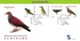 Nfm268ABCfb FAUNA VOGELS VALK DUIF KOLIBRIE HUMMINGBIRD TOUCAN PIGEON FALCON BIRDS AVES OISEAUX SURINAME 2003 FDC'S - Andere & Zonder Classificatie