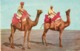 CT-03007- CAMEL RIDERS CLIFTON BEACH KARACHI - Pakistan