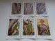 Beau Lot De 10 Cartes Postales Oiseaux  Oiseau  Illustrateur H.Dupond     Mooi Lot Van 10 Postkaarten Van Vogels  Vogel - 5 - 99 Cartoline