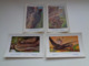 Beau Lot De 10 Cartes Postales Oiseaux  Oiseau  Illustrateur H.Dupond     Mooi Lot Van 10 Postkaarten Van Vogels  Vogel - 5 - 99 Cartoline