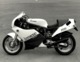 Ducati Santamonica 750 +-24cm X 17cm  Moto MOTOCROSS MOTORCYCLE Douglas J Jackson Archive Of Motorcycles - Other & Unclassified