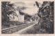 POSTCARD PORTUGAL - OLD COLONY - SÃO TOMÉ E  PRINCIPE - TRECHO DO CAMINHO DE FERRO - RAILWAY - RAILROAD    , S. THOMÉ - Sao Tome Et Principe